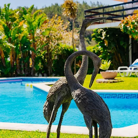 Villa Panoramic Ocean View & Pool In By Rent4rest *